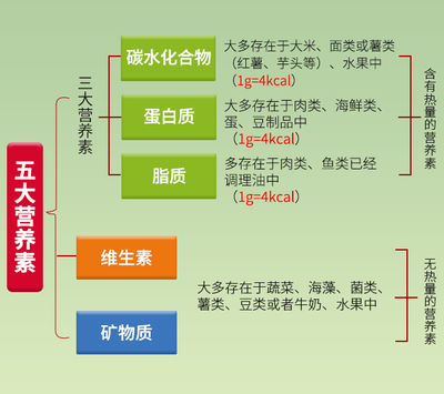 脑梗患者饮食指南 豆类与薯类的科学补充