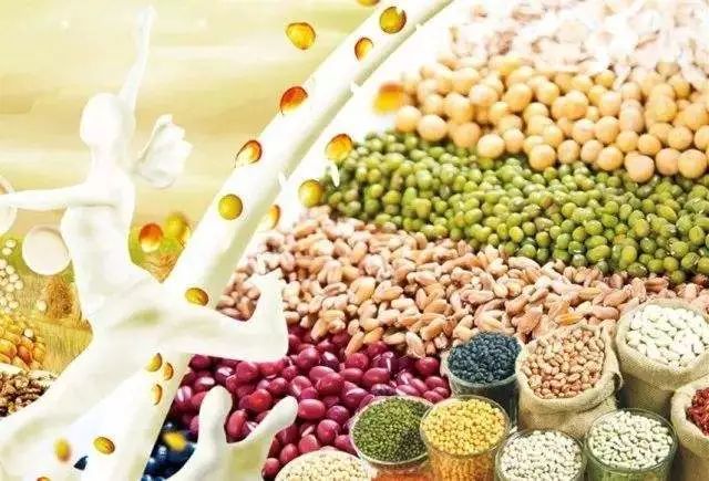 了解全谷物和杂豆，为你的主食加分！